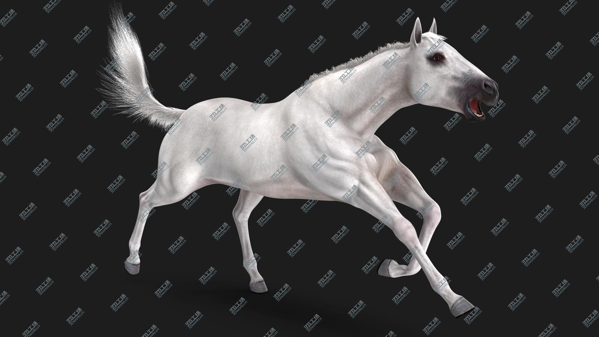 images/goods_img/20210319/3D White Horse Fur Rigged/2.jpg